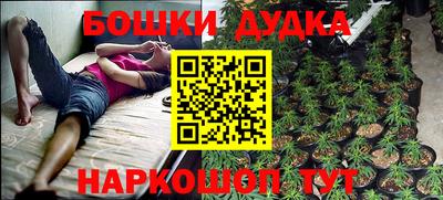 шишки Нягань