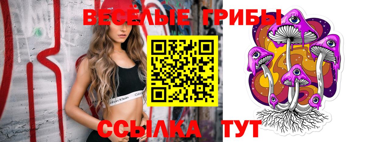 Псилоцибиновые грибы мухоморы Серов