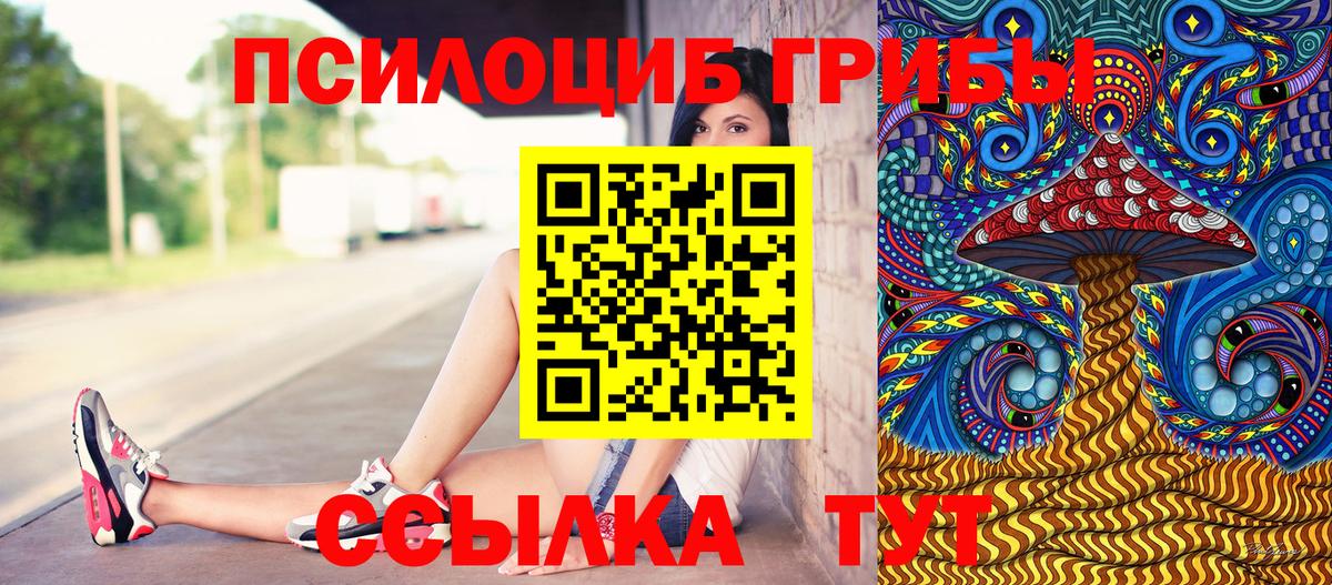 Серов  Псилоцибиновые грибы MAGIC MUSHROOMS  Вход с VPN 